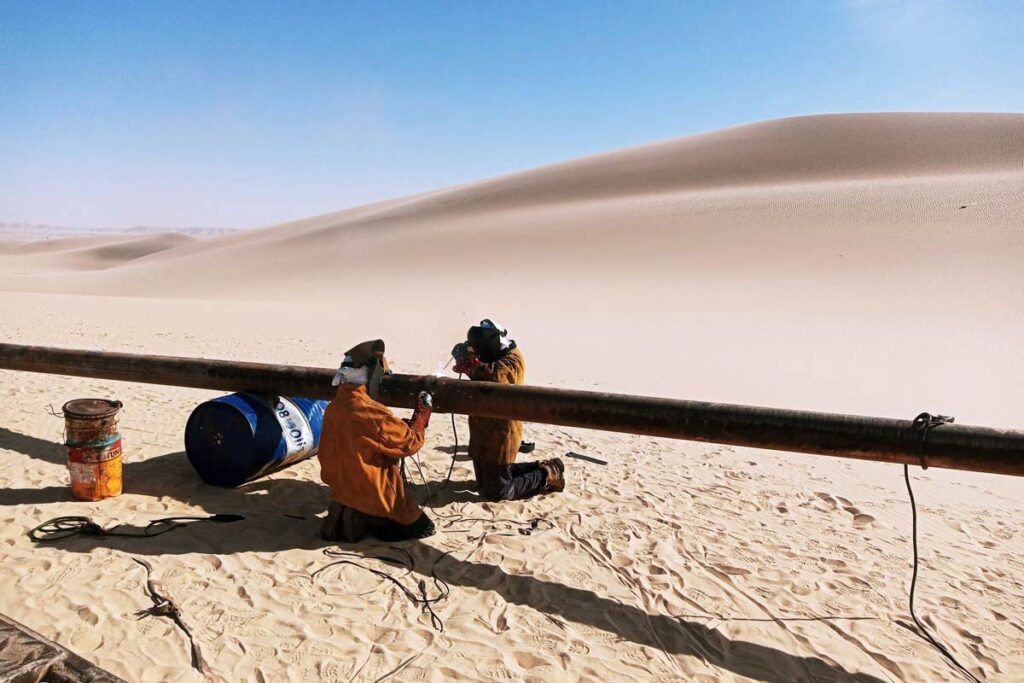 shutterstock_2275480899